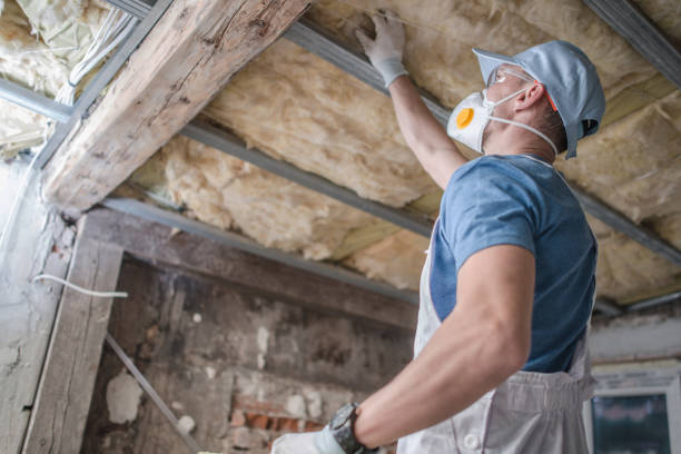 Insulation Contractors for Homes in Duncan, SC