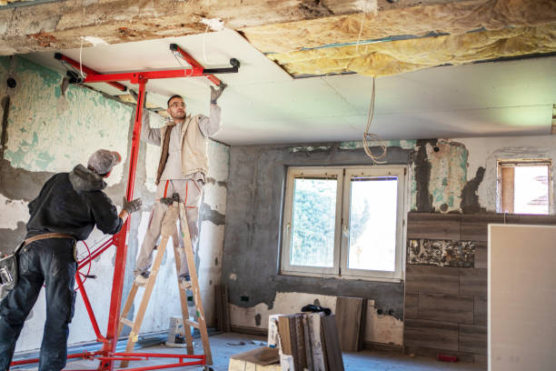 Best Insulation Contractors for Homes  in Duncan, SC