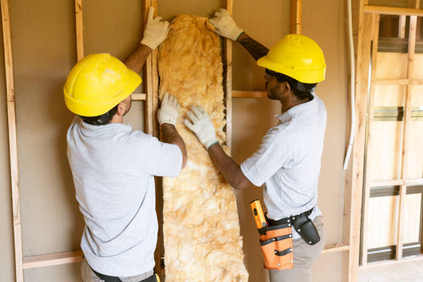 Best Attic Insulation Installation  in Duncan, SC