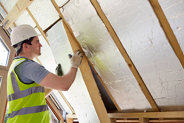 Best Attic Insulation Installation  in Duncan, SC